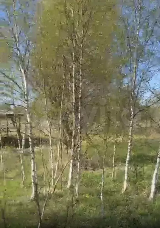 Участок 10 сот. (СНТ, ДНП) - Фото 0