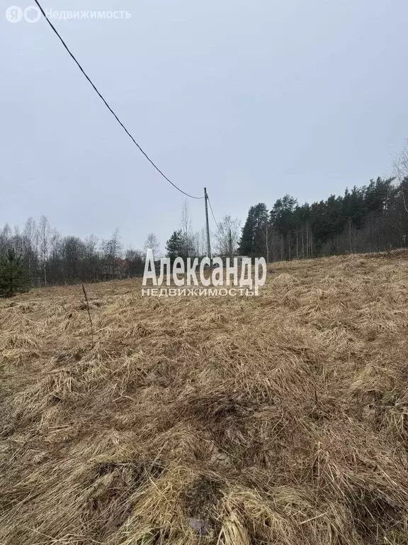 Участок в Выборгский район, Рощинское городское поселение (200 м) - Фото 1