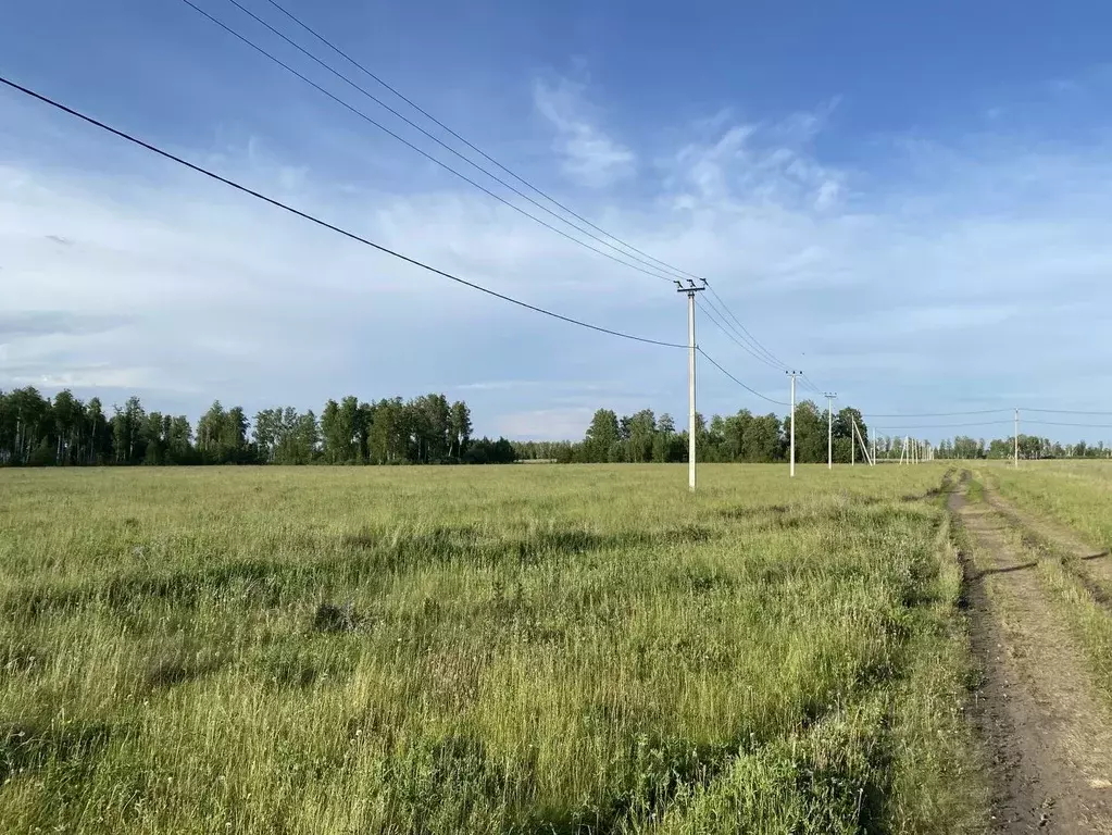 Участок в Челябинская область, Красноармейский район, д. Пашнино 1-е ... - Фото 0
