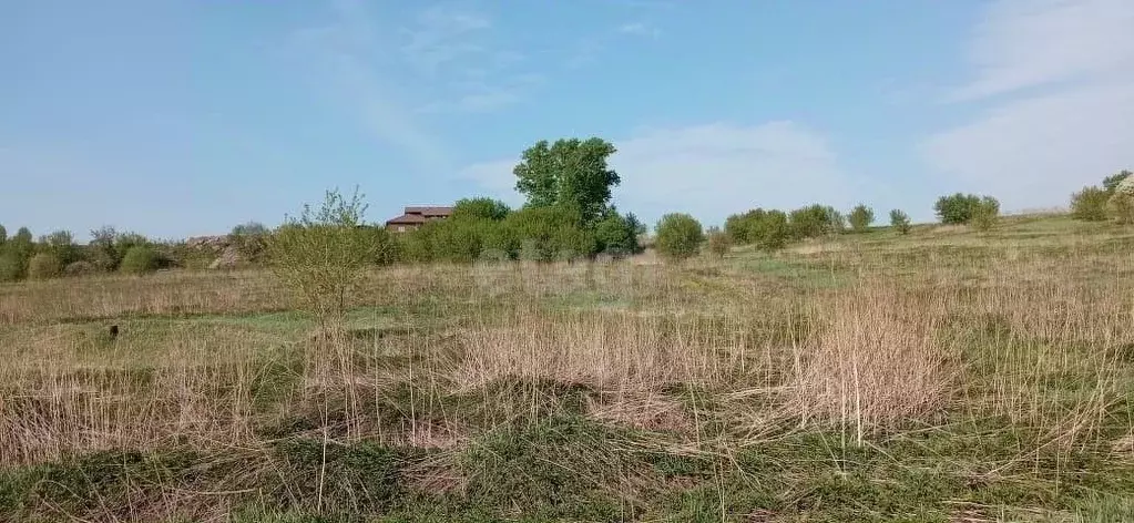 Купить Землю В Загорском Минеральные Воды