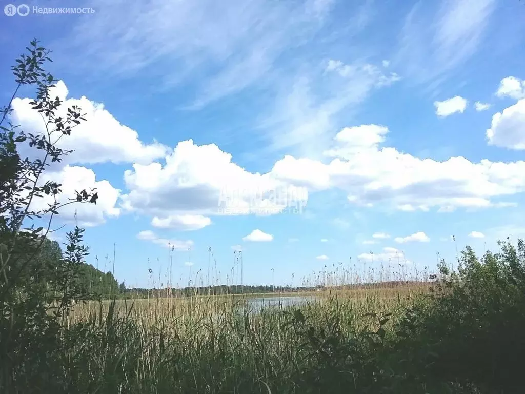 Участок в Приозерский район, Ромашкинское сельское поселение, посёлок ... - Фото 1