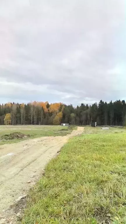 Участок в Ленинградская область, Ломоносовский район, Лопухинское ... - Фото 0