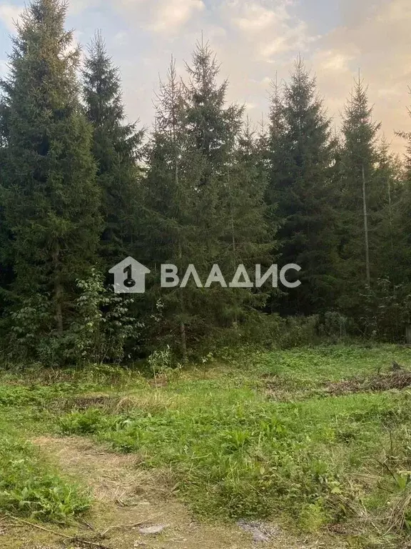 Участок в Ленинградская область, Ломоносовский район, Кипенское с/пос, ... - Фото 2