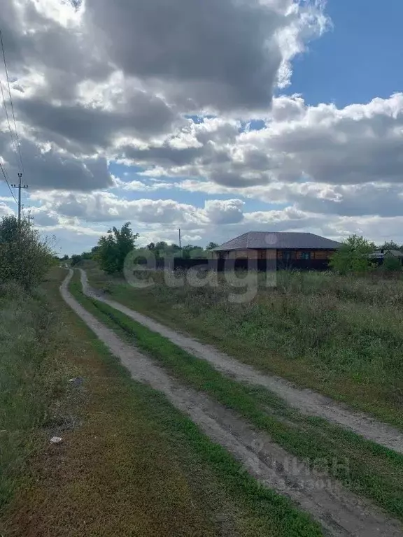 Участок в Ульяновская область, Тереньгульский район, Подкуровское ... - Фото 1