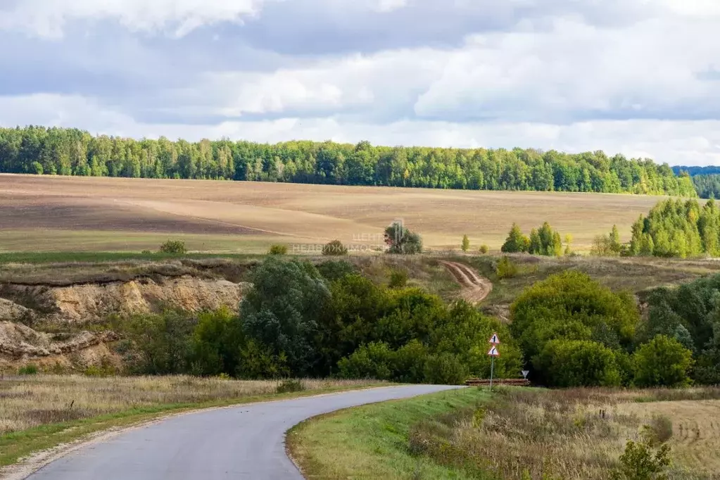 Дом в Татарстан, с. Высокая Гора ул. Сосновая (97 м) - Фото 1