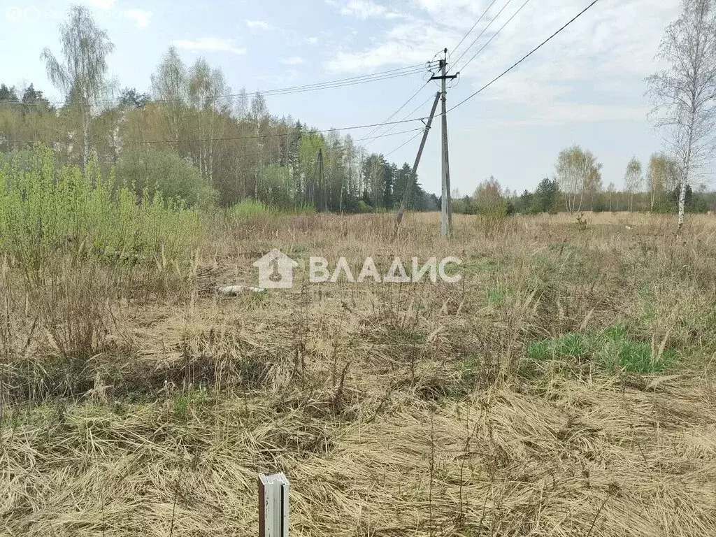 Участок в Ногинск, Ново-Богородская улица (11.79 м) - Фото 2