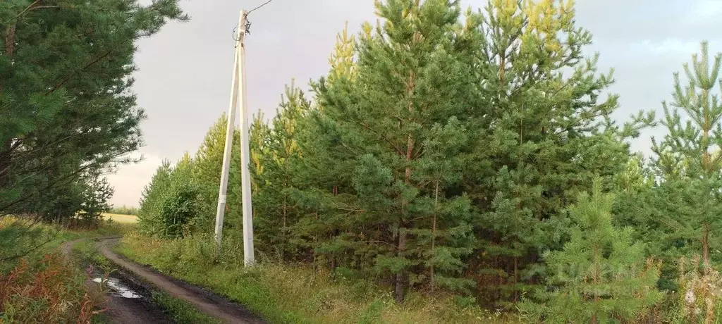 Участок в Свердловская область, Сысертский городской округ, пос. ... - Фото 0