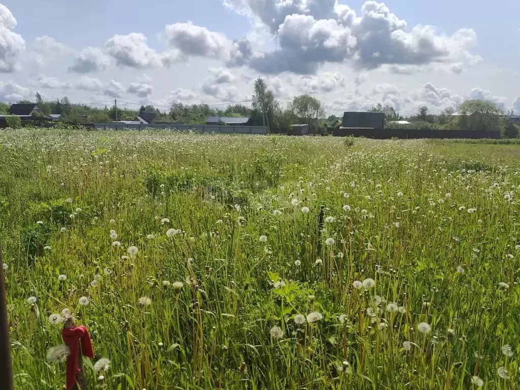 Участок в Ленинградская область, Волосовский район, д. Бегуницы  (10.0 ... - Фото 1