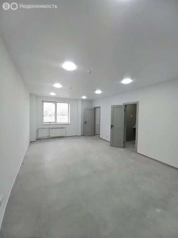 Помещение свободного назначения (33.4 м) - Фото 0