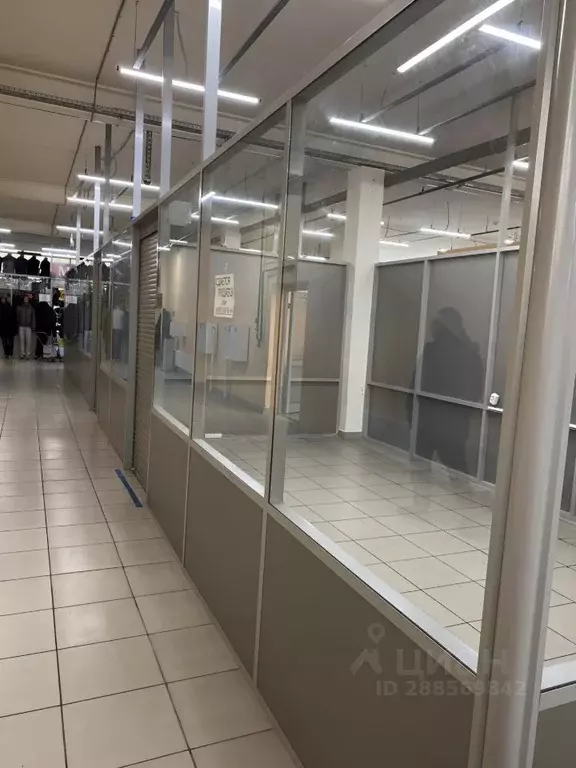 Торговая площадь в Самарская область, Тольятти ул. Мира, 113А (20 м) - Фото 1