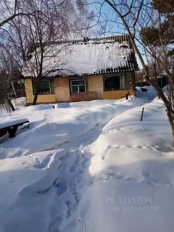 Дом в Амурская область, Селемджинский район, с. Февральское Озерная ... - Фото 2