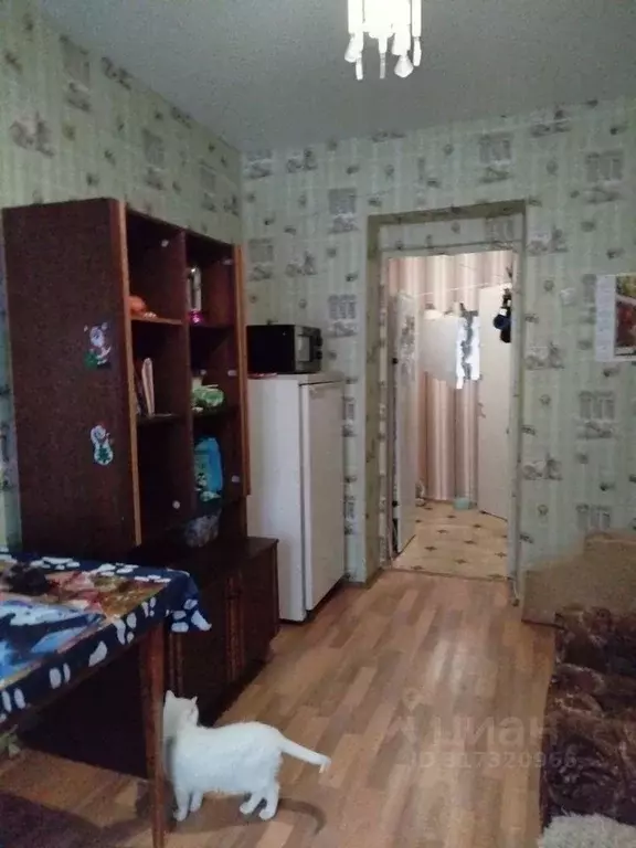 2-к кв. Белгородская область, Белгород ул. 5 Августа, 34 (32.3 м) - Фото 0