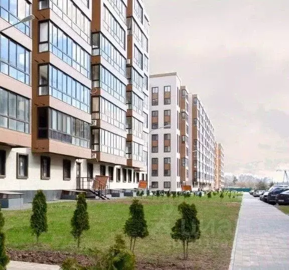 Студия Московская область, Мытищи городской округ, д. Пирогово ул. ... - Фото 0