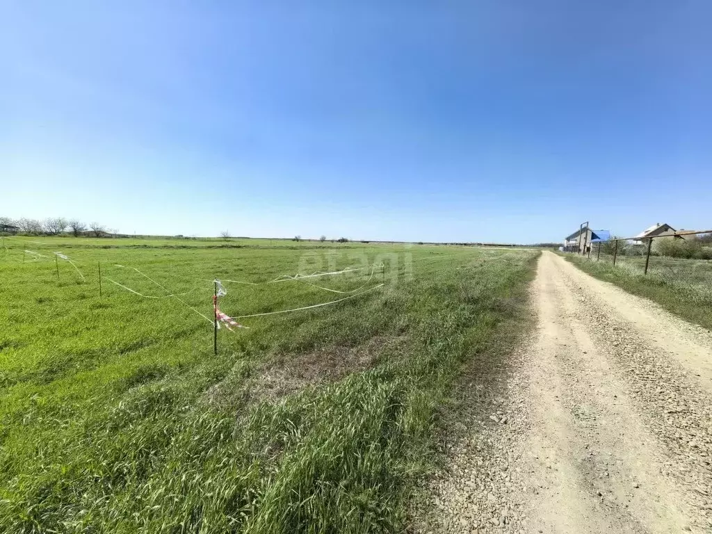 Участок в Краснодарский край, Ейский район, с. Кухаривка  (8.0 сот.) - Фото 1