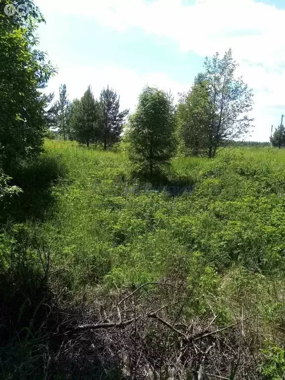 Участок в посёлок станции Суроватиха, Восточная улица, 27 (15 м) - Фото 1