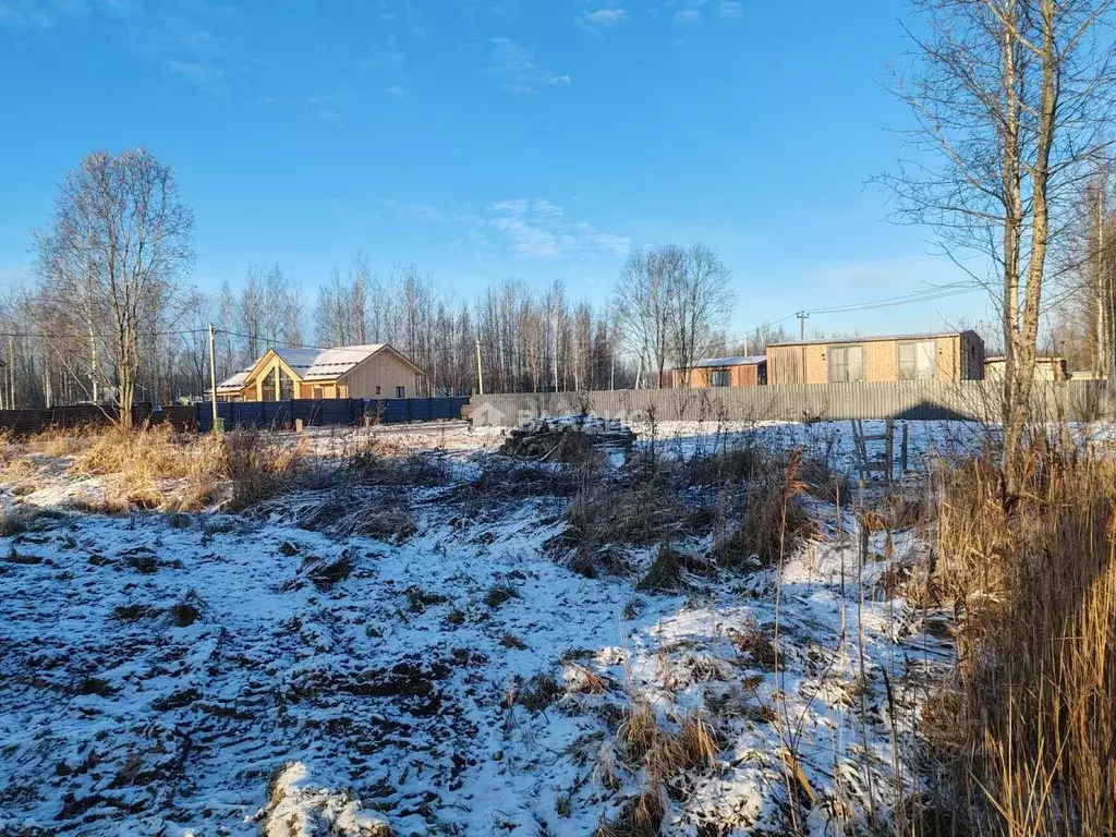 Участок в Ленинградская область, Всеволожский район, Рахьинское ... - Фото 2