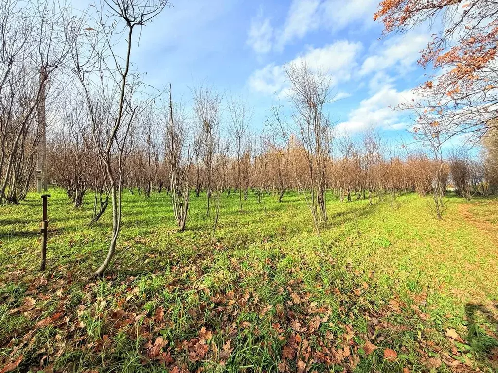 Участок в Ярославская область, Переславль-Залесский муниципальный ... - Фото 1