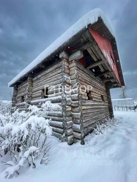 Участок в Костромская область, Кострома Текстильщик-2 садоводческое ... - Фото 2