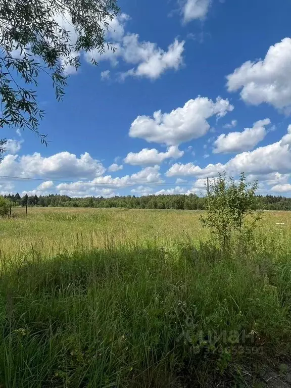 Участок в Московская область, Пушкинский городской округ, д. ... - Фото 1