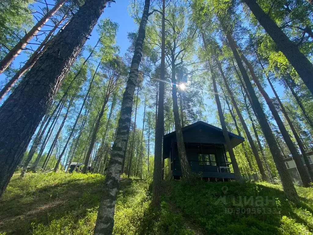 Дом в Ленинградская область, Выборгский район, Приморское городское ... - Фото 0