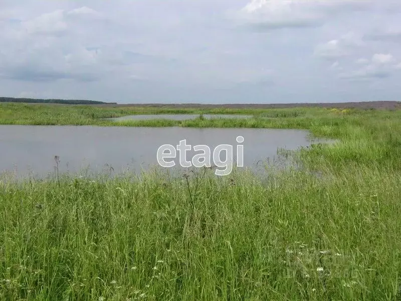 Купить Дом В Дубенском Районе Воскресенское