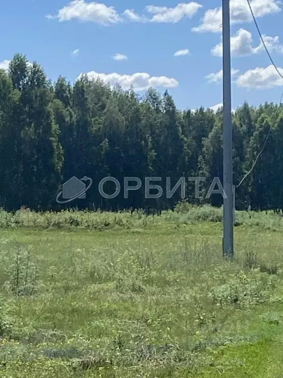 Участок в Тюменская область, Тюменский район, д. Решетникова Береговая ... - Фото 1