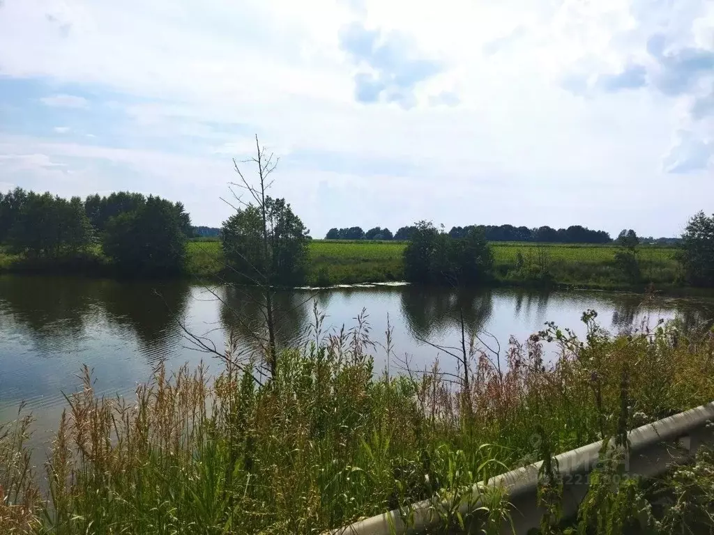 Участок в Тульская область, Ясногорский район, Теляковское с/пос, д. ... - Фото 2