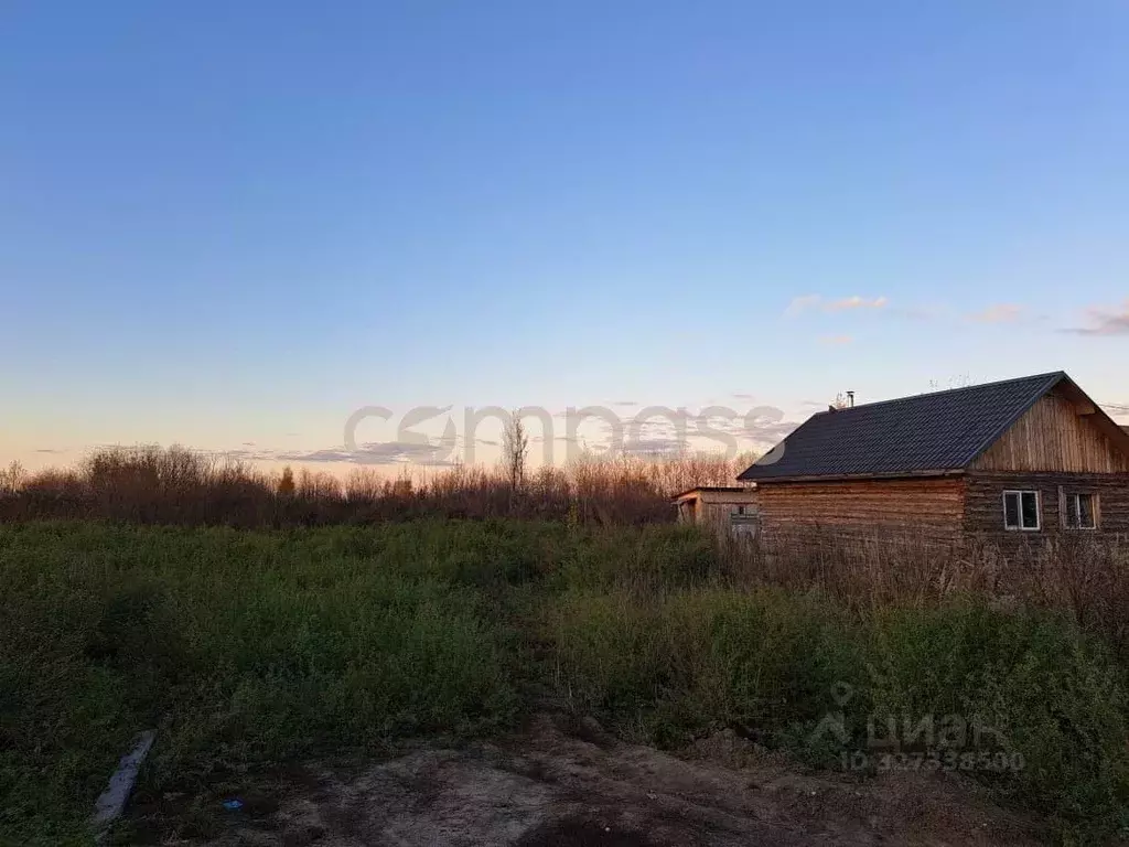 Участок в Тюменская область, Тюмень Луч СНТ, ул. Березовая, 13 (9.76 ... - Фото 1