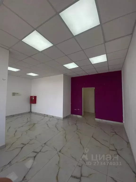 Помещение свободного назначения в Краснодарский край, Краснодар ул. ... - Фото 0