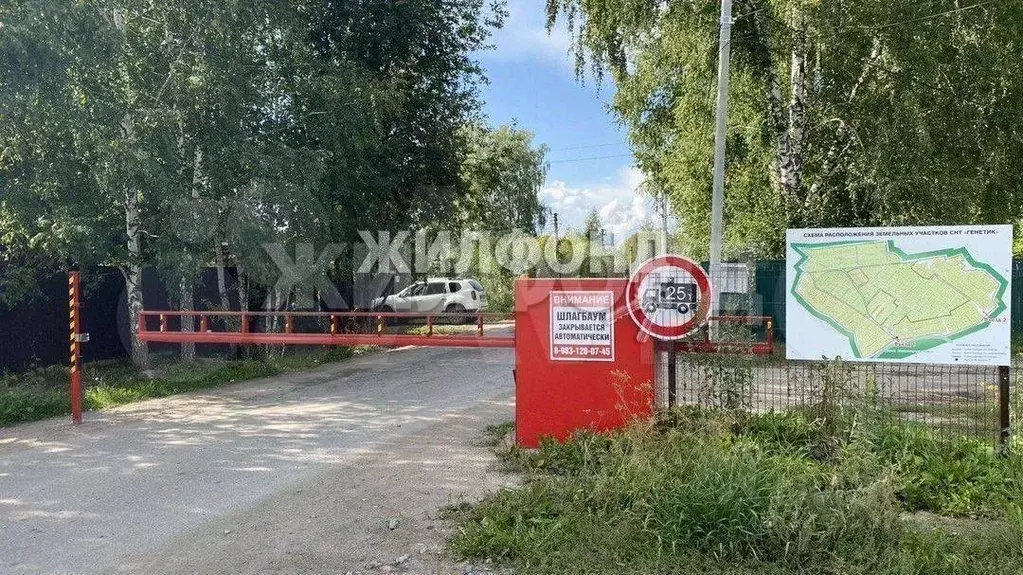 Участок в Новосибирская область, Новосибирский район, Барышевский ... - Фото 1