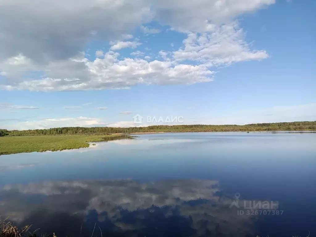 Участок в Владимирская область, Судогодский район, д. Станки  (19.54 ... - Фото 2