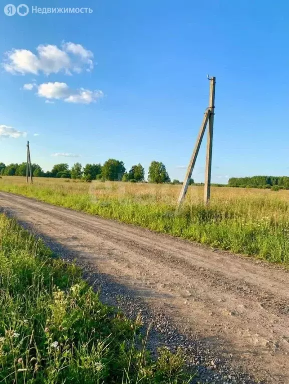 Участок в Мошковский район, село Томилово (6 м) - Фото 1