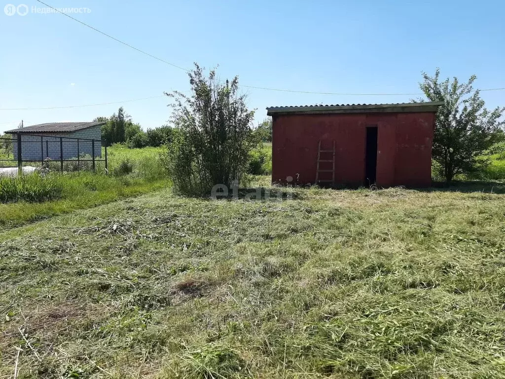 Участок в Брянск, садоводческое товарищество Надежда (6 м) - Фото 1