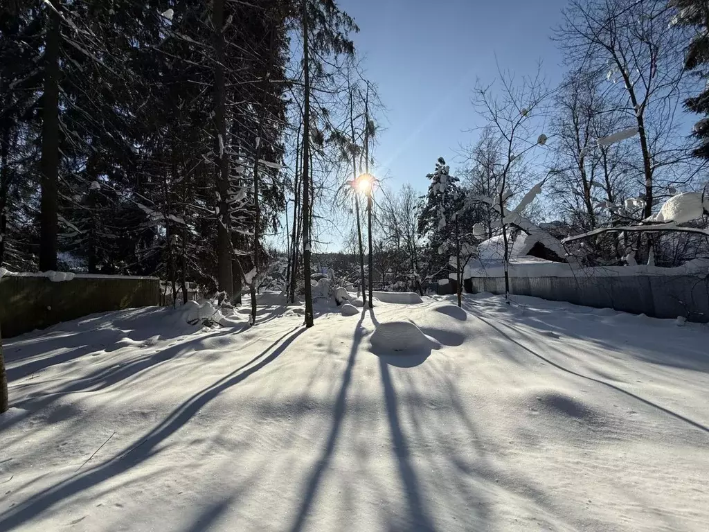 Участок в Москва Сады Покровские СНТ, ул. Покровская (8.9 сот.) - Фото 2