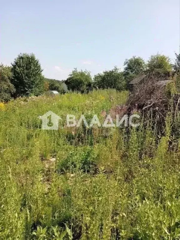 Участок в Нижегородская область, Нижний Новгород Победа СНТ, 122 (5.4 ... - Фото 1