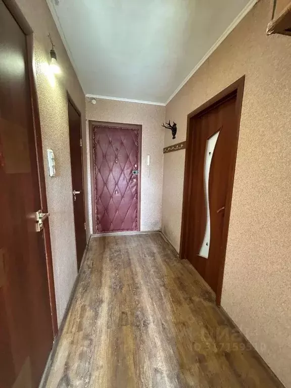 1-к кв. Курганская область, Курган ул. Пушкина, 123 (33.0 м) - Фото 2