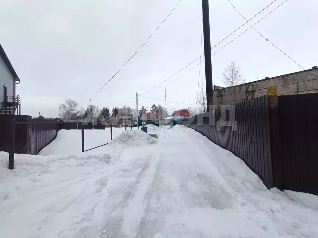 Участок в Новосибирская область, Колывань рп ул. Московская (15.51 ... - Фото 2