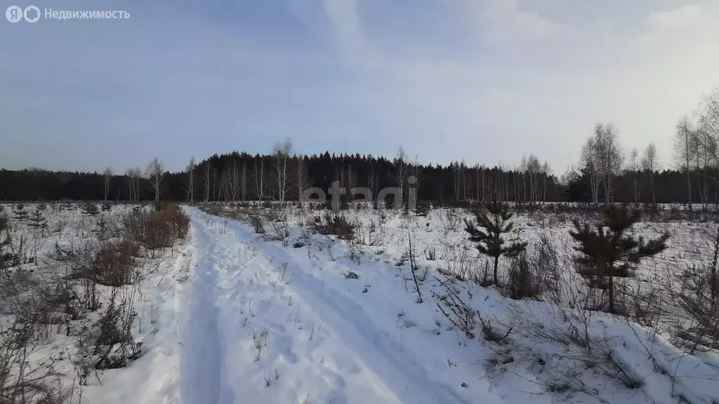 Участок в село Архангельское, коттеджный посёлок Зенит Лесной (10 м) - Фото 0