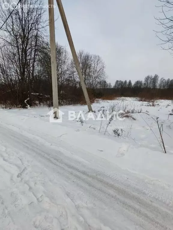 Участок в Опольевское сельское поселение, посёлок при железнодорожной ... - Фото 2