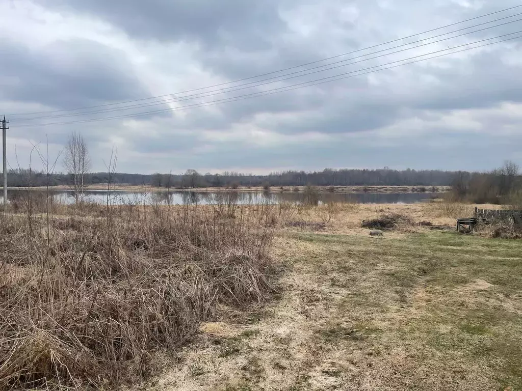 Участок в Вологодская область, Сокольский муниципальный округ, д. Шера ... - Фото 2