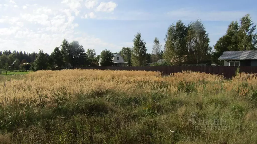 Участок в Московская область, Рузский муниципальный округ, д. ... - Фото 2