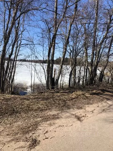 Участок в Новгородская область, Валдайский район, д. Ватцы  (73.0 ... - Фото 1