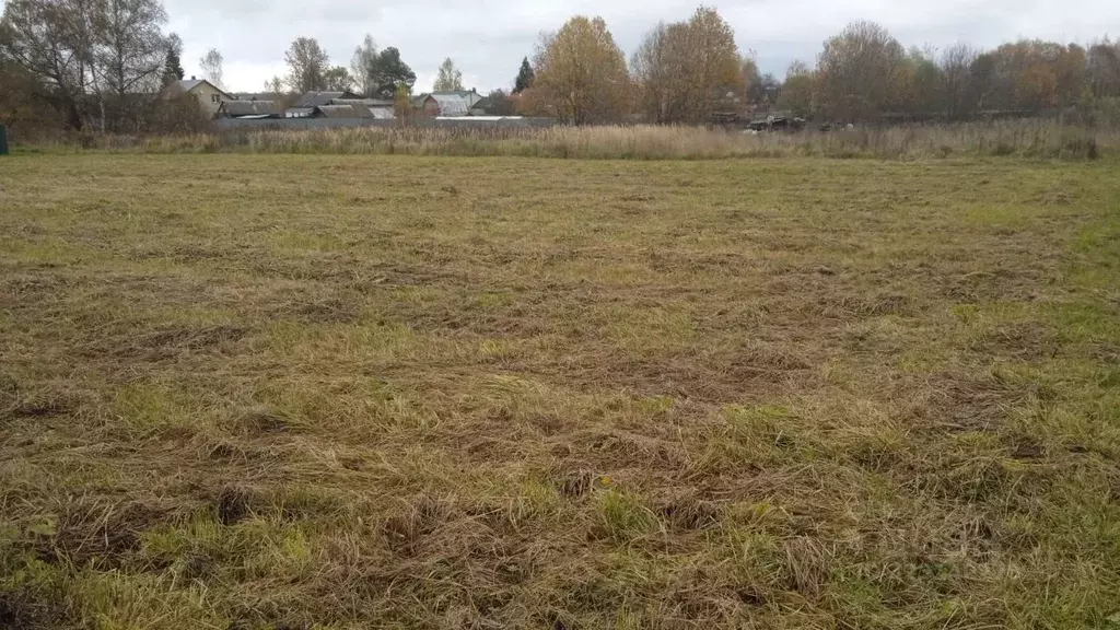 Участок в Московская область, Можайский муниципальный округ, д. ... - Фото 1