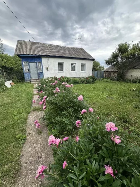 Дом в Рязанская область, Скопин городской округ, с. Старые Кельцы ул. ... - Фото 1
