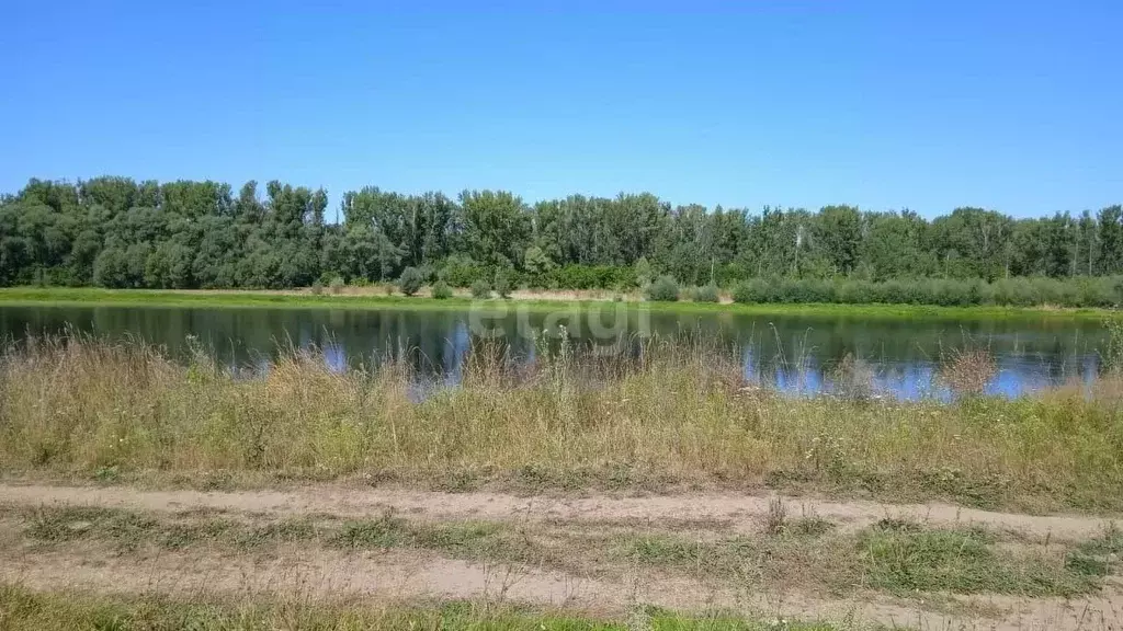 Участок в Башкортостан, Нуримановский район, Красногорский сельсовет, ... - Фото 2