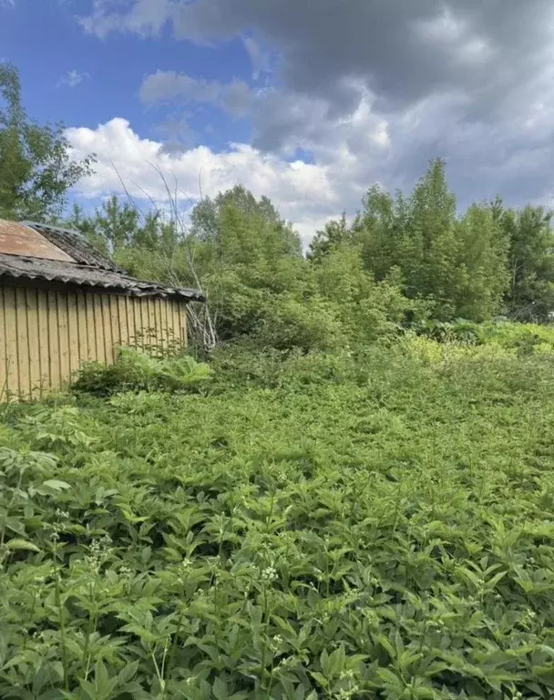 Участок в Калужская область, Козельск Колхозная ул. (10.0 сот.) - Фото 2