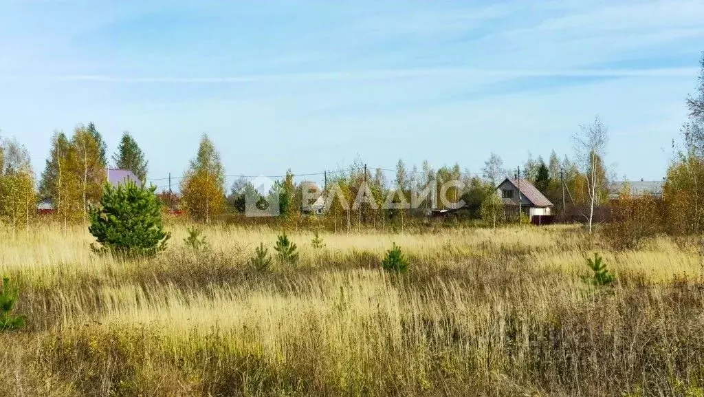 Участок в Владимирская область, Суздальский район, Селецкое ... - Фото 1