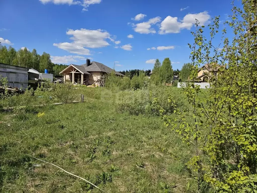 Участок в Московская область, Истра муниципальный округ, д. Холмы ул. ... - Фото 1