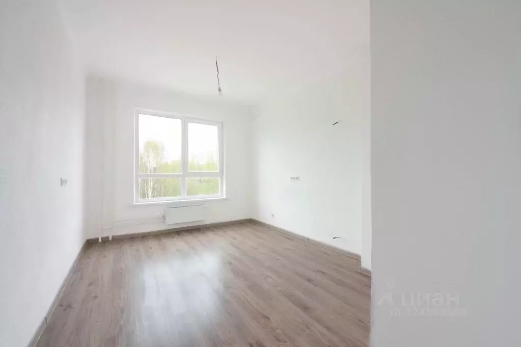 Студия Ярославская область, Ярославль ул. Дядьковская, 16А (21.3 м) - Фото 2