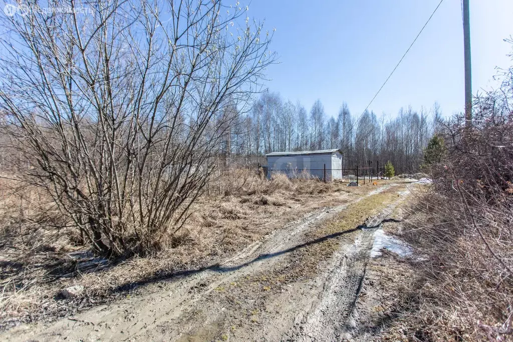 Участок в Тюменская область, Тобольский муниципальный округ, ... - Фото 1